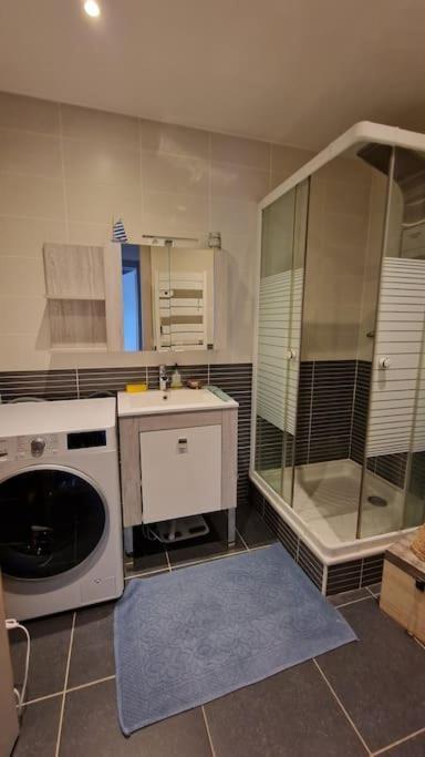 Appartement Cocooning Ars-sur-Moselle Eksteriør billede